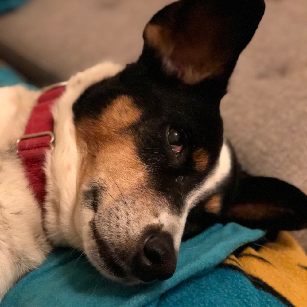 Meet your Posher, Tanya